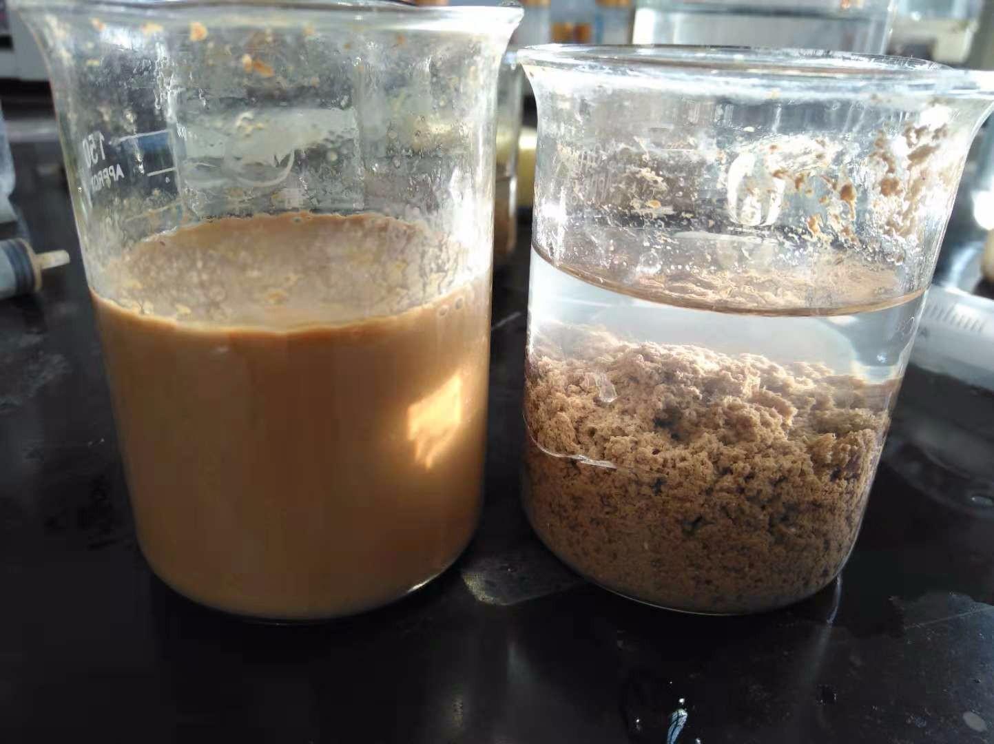 <a href='http://m.leonring.com.cn/jsyj/992.html' target='_blank'><u>���x�Ӿ۱�ϩ�������a(ch��n)�S��</u></a>