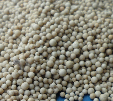 <a href='http://m.leonring.com.cn/jsll/17.html' target='_blank'><u>ϡ����ɰ�V�����a�S��</u></a>