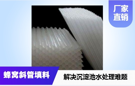 天津市循環水系統蜂窩<a href='http://m.leonring.com.cn/jstl/60.html' target='_blank'><u>斜管填料生產廠家</u></a>